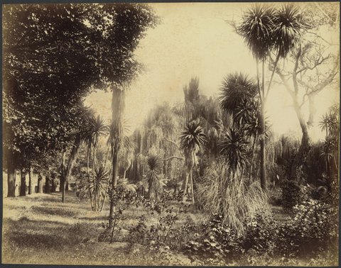 Fitzroy Gardens, 1888?