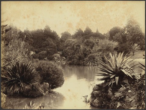 The Lake, Botanical Gardens, Melbourne, 1888?