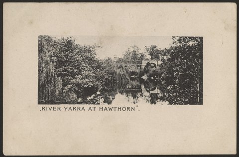 River Yarra at Hawthorn, 1950–54