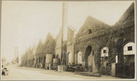 Newport [Row of ivy covered buildings], c. 1910