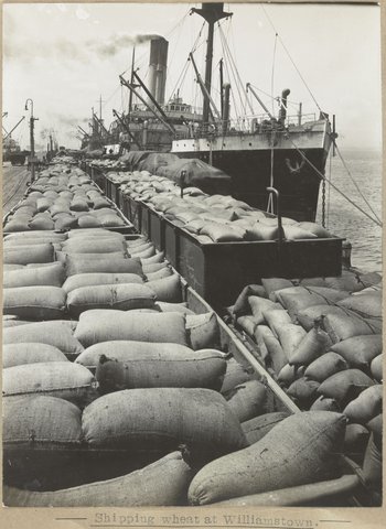 Shipping wheat at Williamstown, 1905–28