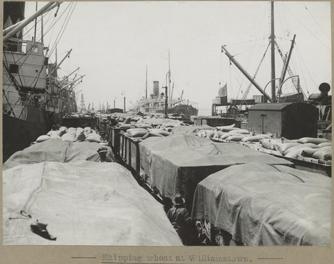 Shipping wheat at Williamstown, 1905–28