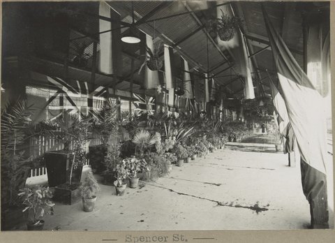 Spencer St. [View of potted plants on platform.], 1905–28