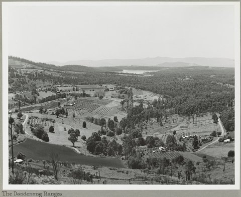 The Dandenong Ranges, 1925–35