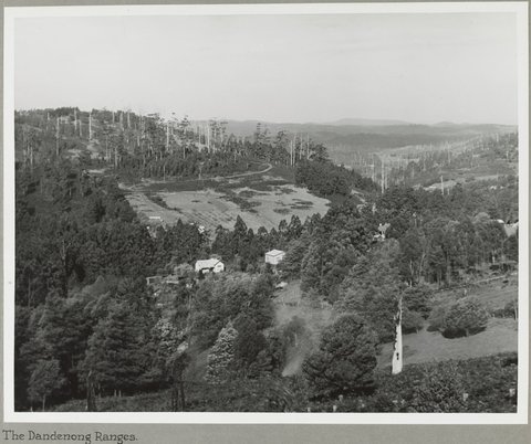 The Dandenong Ranges, 1925–35