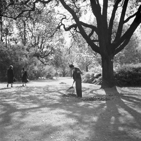 Collection of negatives showing Melbourne streets and surrounds, 1940–50