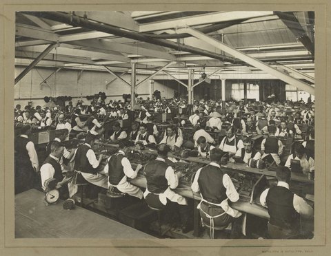 Cigar making room, States Tobacco Company, A'Beckett Street, Melbourne, 1900–20