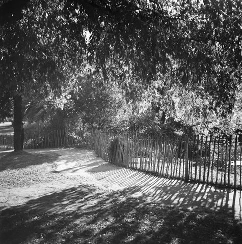 Collection of negatives showing Melbourne streets and surrounds, 1940–50