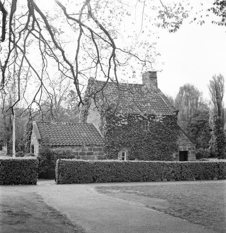 Collection of negatives showing Melbourne streets and surrounds, 1940–50