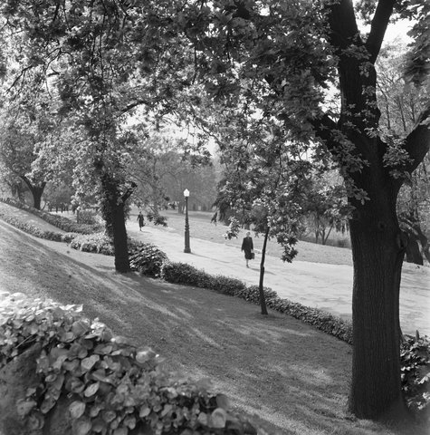 Collection of negatives showing Melbourne streets and surrounds, 1940–50