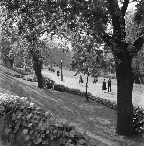 Collection of negatives showing Melbourne streets and surrounds, 1940–50