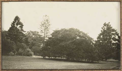 Kamesburgh House North Road, Brighton, 1890?