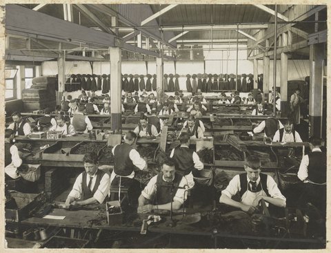 Cigar making room, States Tobacco Company, A'Beckett Street, Melbourne, 1900–20