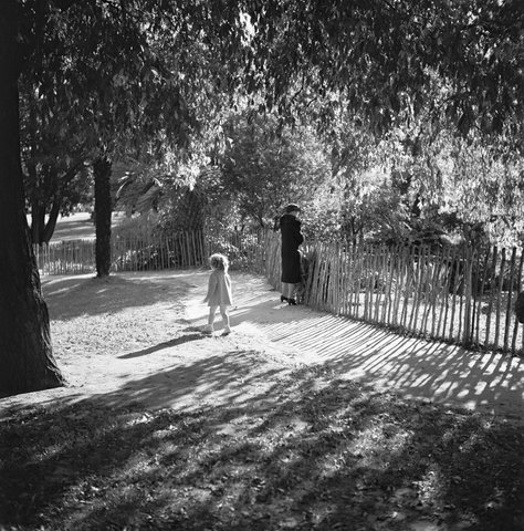 Collection of negatives showing Melbourne streets and surrounds, 1940–50