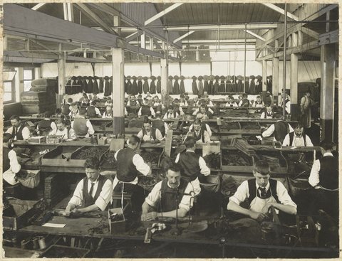 Cigar making room, States Tobacco Company, A'Beckett Street, Melbourne, 1900–20