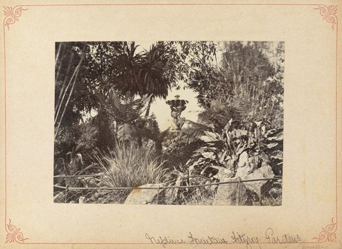 Neptune Fountain Fitzroy Gardens, c. 1880