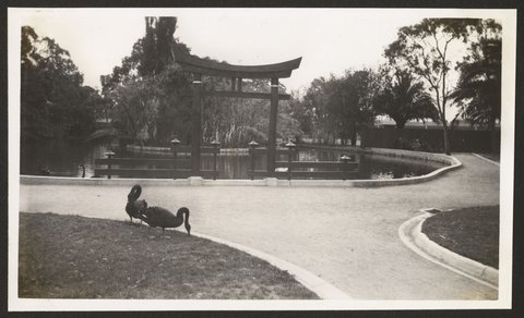 Royal Melbourne Zoological Gardens, Victoria, 1939–54