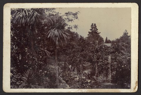 Mr. Bains Garden 1890 Normanby Rd. Est. Kew