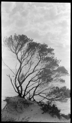 Beaumaris, Victoria, 1916–21