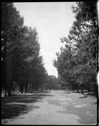 Albert Park, Victoria, 1916–21