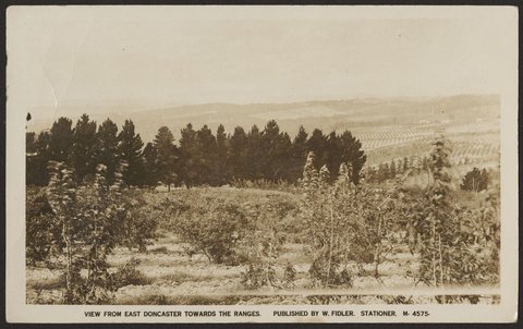 View from east Doncaster towards The Ranges, 1916?