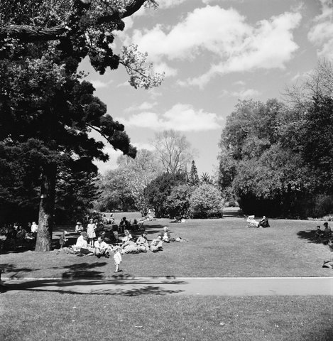 Collection of negatives showing Melbourne streets and surrounds, 1940–50