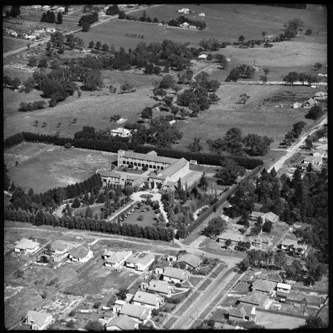 Aerial view of Box Hill, Victoria, looking south west, 1951