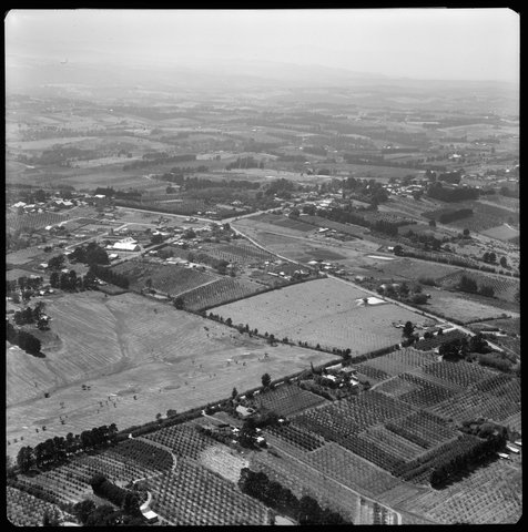 Aerial views of orchards in Box Hill area, Victoria, 1953