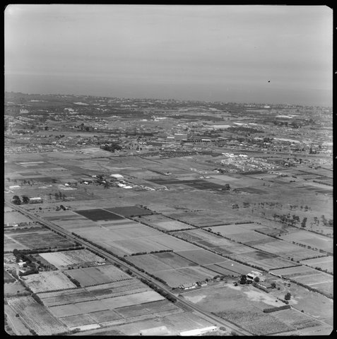 Aerial views of Cheltenham, Victoria, 1951