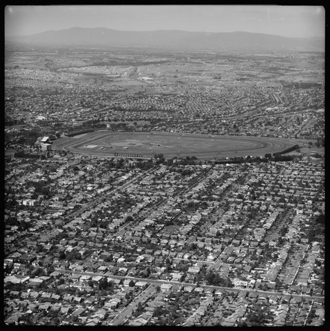 Aerial view over Caulfield, Victoria, looking east, 1951
