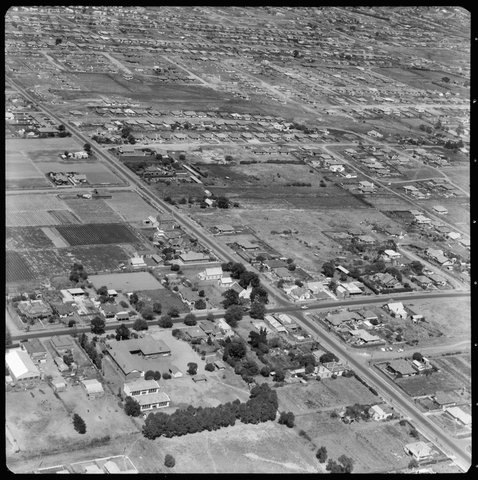 Aerial view of the Brighton East area, 1951