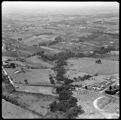 Aerial views of orchards in Box Hill area, Victoria, 1953