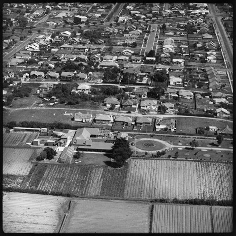 Aerial view of Cheltenham, Victoria, 1951
