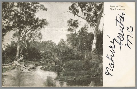 Scene on Yarra Near Hawthorn, c. 1907