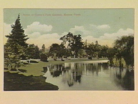 Scene in Queen's Park Gardens, Moonee Ponds, c. 1906