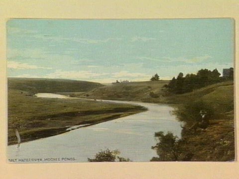 SALT WATER RIVER, MOONEE PONDS, c. 1909