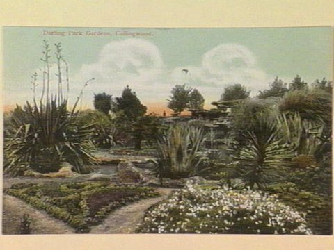 Darling Park Gardens, Collingwood, c. 1906