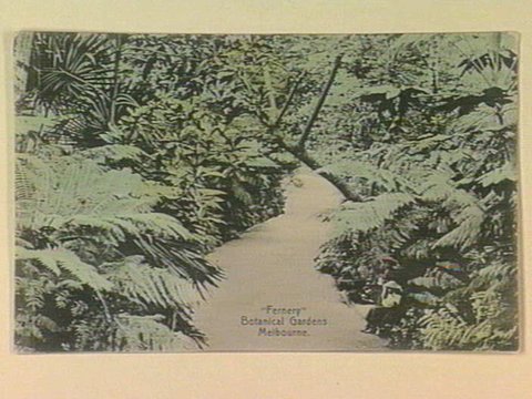 "Fernery" Botanical Gardens Melbourne, c. 1906