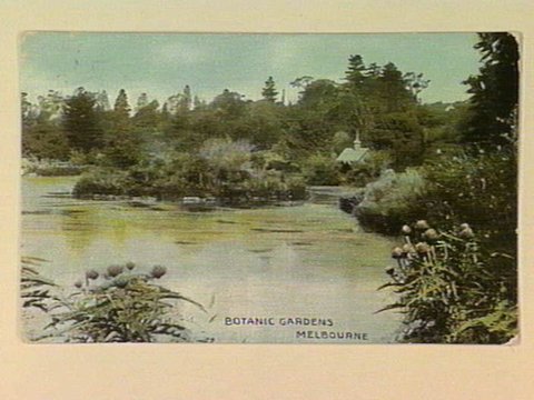 BOTANIC GARDENS MELBOURNE, c. 1907