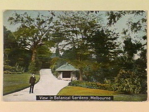 View in Botanical Gardens, Melbourne, c. 1906