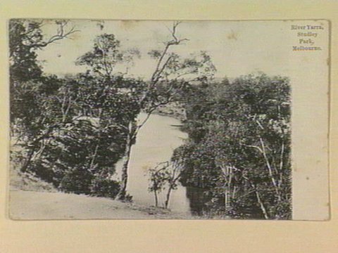 River Yarra, Studley Park, Melbourne, c. 1906