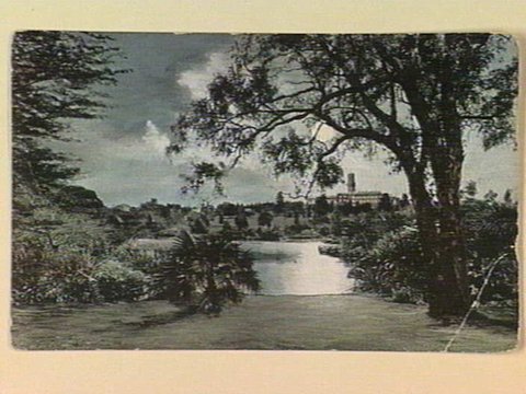 Botanical Gardens, Melbourne, c. 1907