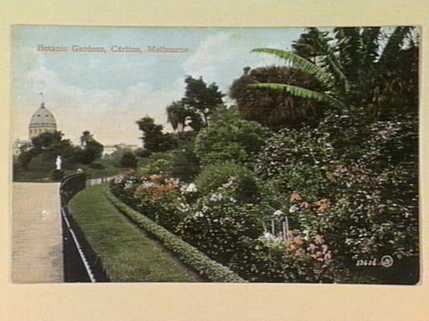Botanic Gardens, Carlton, Melbourne, c. 1911