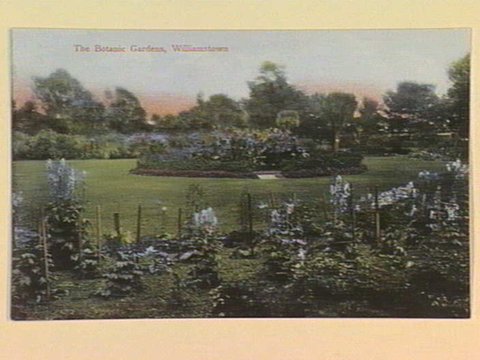 The Botanic Gardens, Williamstown, c. 1906