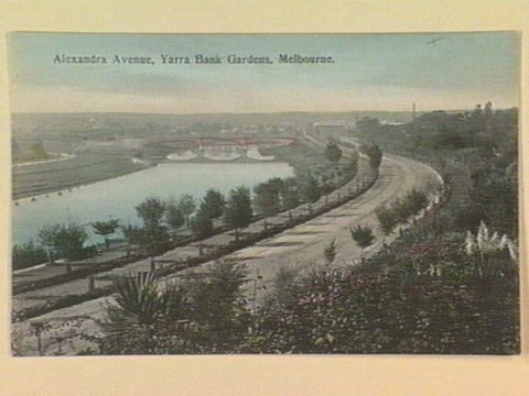Alexandra Avenue, Yarra Bank Gardens, Melbourne, c. 1906