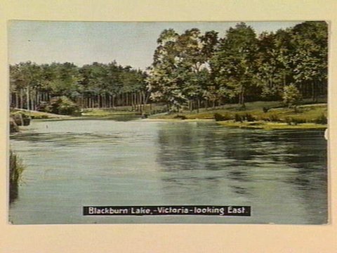 Blackburn Lake, - Victoria - looking East, c. 1907