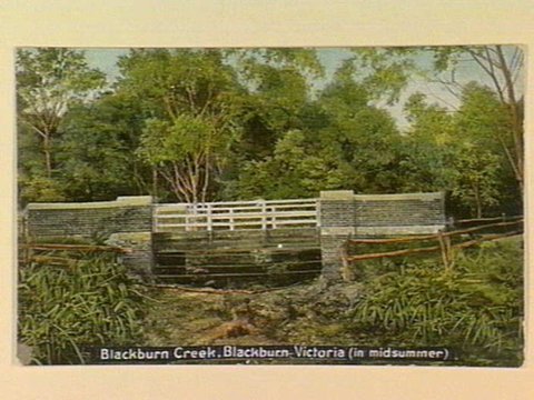 Blackburn Creek, Blackburn. Victoria (in midsummer), c. 1908