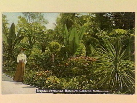 Tropical Vegetation, Botanical Gardens, Melbourne, c. 1908
