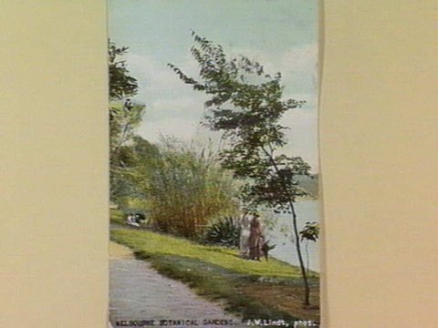MELBOURNE BOTANICAL GARDENS, c. 1909