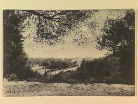 SCENE AT FRANKSTON, c. 1908